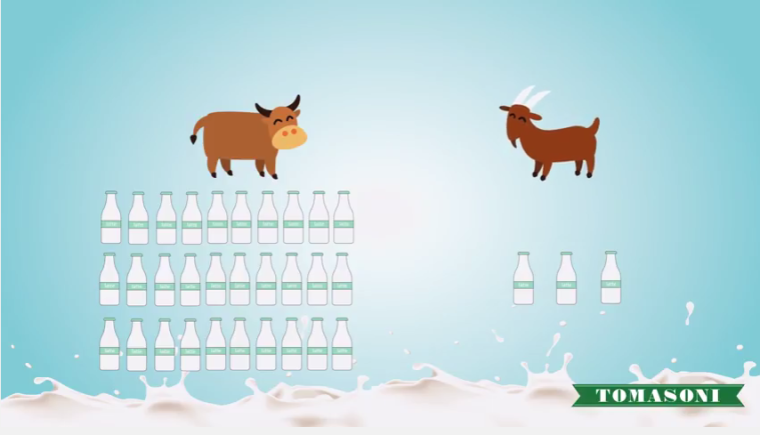 latte-mucca-vs-latte-capra